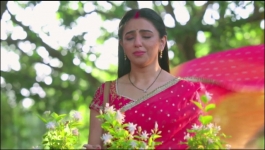 Pati Brahmachari - 8th June 2026